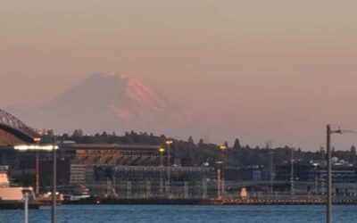 My First ERM Certification: Curiosity, Credit Unions, and the Future of Risk