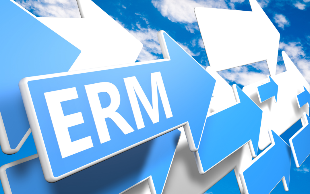 Governing Risk with Simplicity: A Board-Level View of ERM
