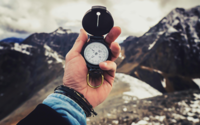 Risk Appetite Is Not a Binder on a Shelf (Part 2 of 3 in a Series on Risk Appetite)